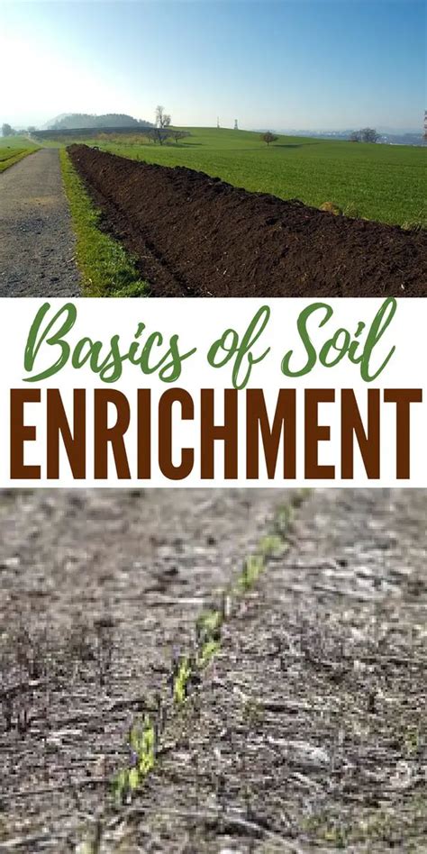 1. Soil Enrichment: