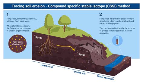 1. Soil Formation and Erosion Control: