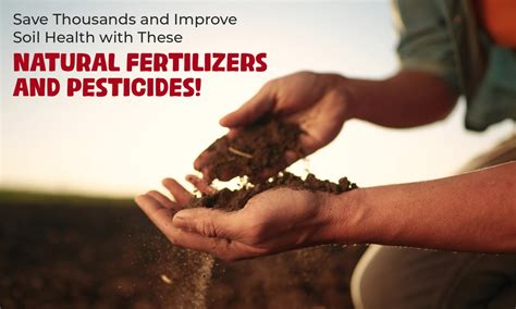 1. Soil Health: A Tale of Two Fertilizers