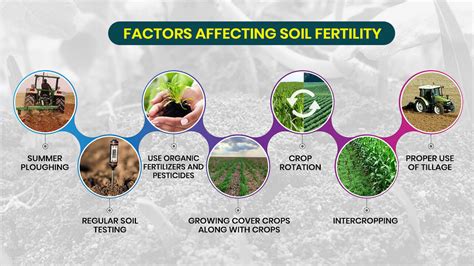 1. Soil Quality and Fertility: