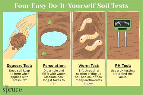 1. Soil Test: