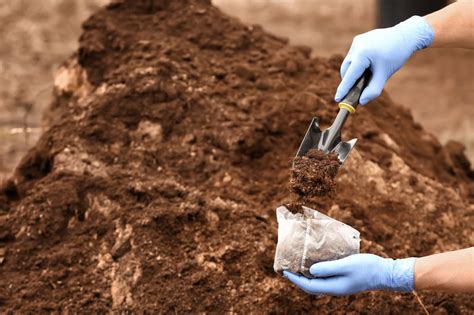 1. Soil Testing: Determine Your Lawn's Nutritional Needs