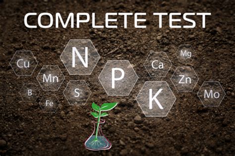 1. Soil Testing and Nutrient Management: