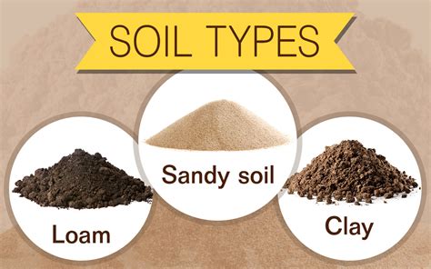 1. Soil Type: