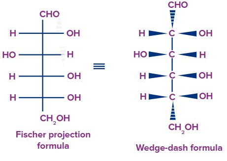 1. Sugar Preparation: