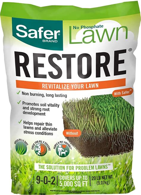 1. Sunday Best Lawn Fertilizer: All-Around Excellence