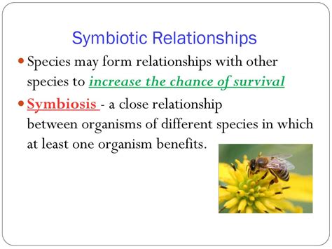 1. Symbiotic Dependence