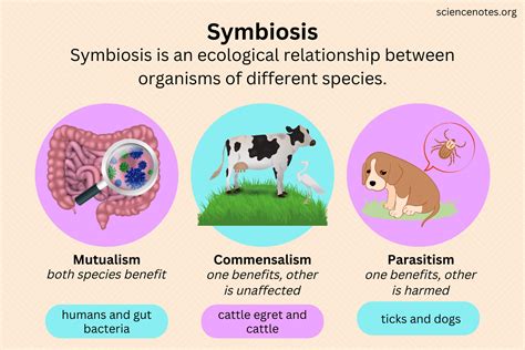 1. Symbiotic Partnerships: