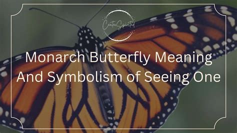 1. Symbolism of Butterflies