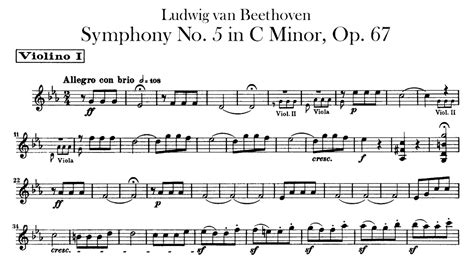 1. Symphony No. 5 (Beethoven)