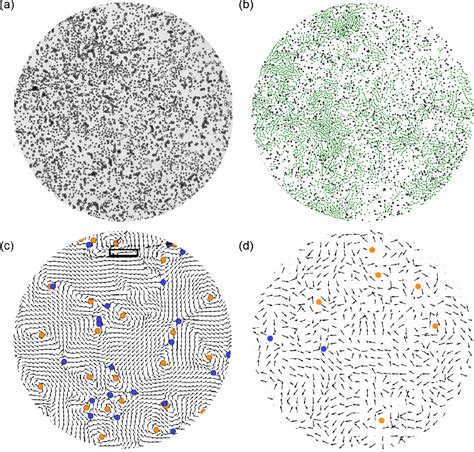 1. Synchronized Emergence: