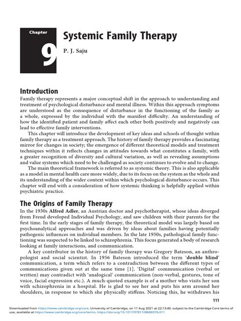 1. Systemic Family Therapy: