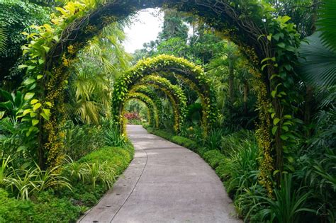 1. Take a romantic walk through the Singapore Botanic Gardens.