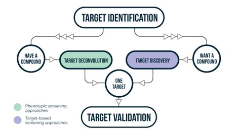 1. Target Identification: