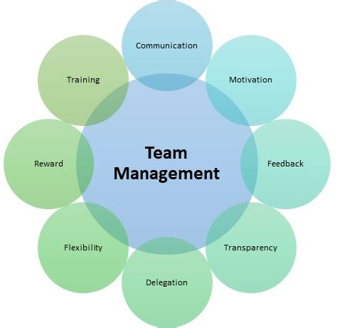 1. Team Management: