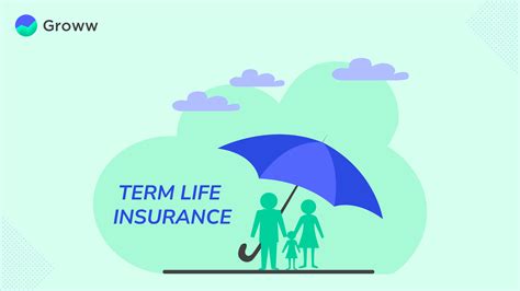 1. Term Life Insurance: