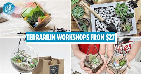 1. Terrarium Workshop Singapore: The Ultimate Guide for Beginners