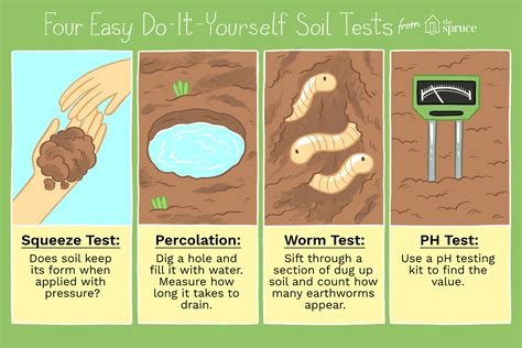 1. Test Your Soil