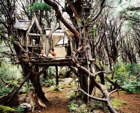 1. The "Terabithia" Tree Was Real: