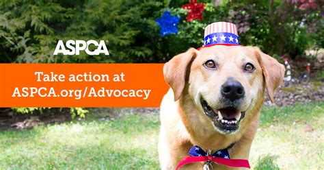 1. The ASPCA: A History of Animal Advocacy