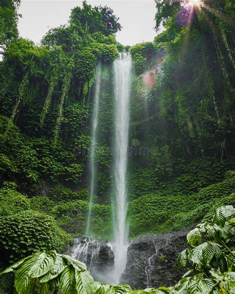 1. The Enchanting Cascade: A Symphony of Nature