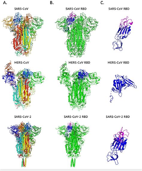 1. The Eye Crystal Is Made of Protein