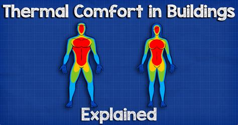 1. The Importance of Comfort