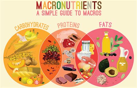 1. The Importance of Macronutrients