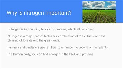 1. The Importance of Nitrogen: A Building Block for Growth