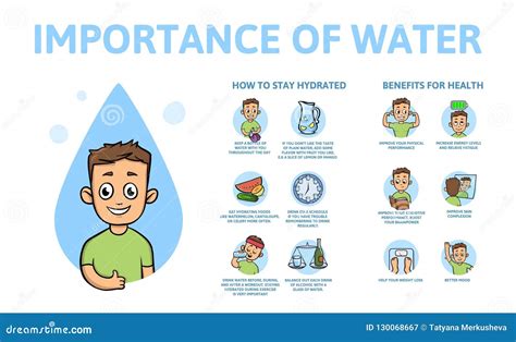 1. The Importance of Water