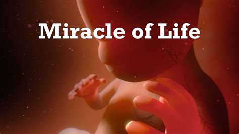 1. The Miracle of Life (1955)