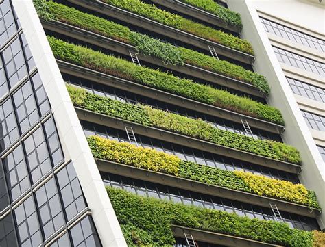 1. The Rise of Vertical Gardens