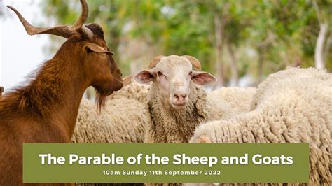 1. The Sheep and the Goats