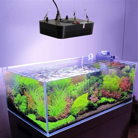 1. The Ultimate Guide to LED Aquarium Lights: Unlocking a Vibrant Underwater World