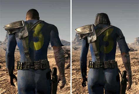 1. The Vault Dweller