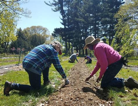 1. The Work Project Orchard