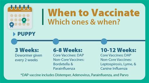 1. Timely Vaccination Reminders: