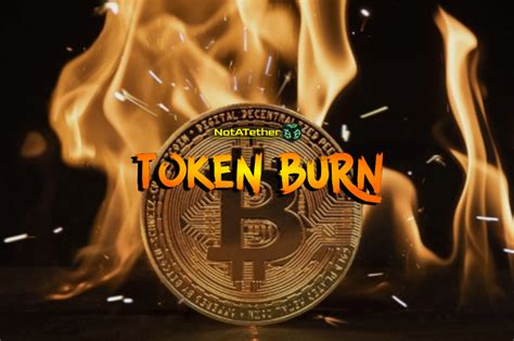 1. Token Burn