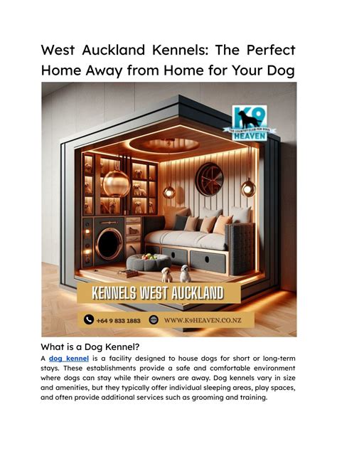 1. Top Dog Kennels: Your Dog's Home Away from Home