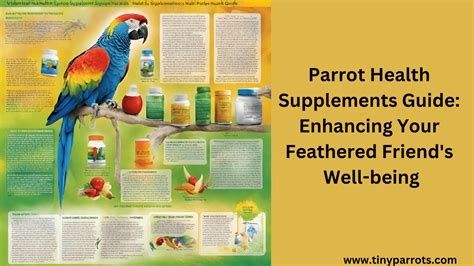 1. Track and measure health data to ensure your parrot's well-being.
