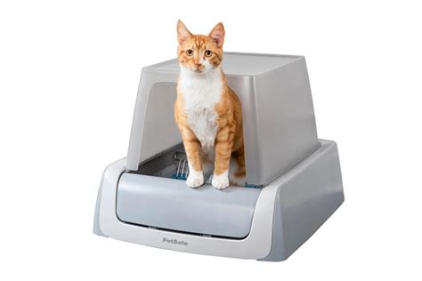 1. Traditional Cat Litter Boxes: The Tried-and-Tested Option