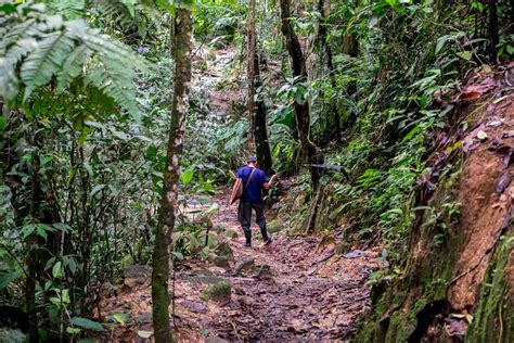 1. Trek through the Nature Trails