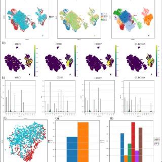 1. Tumor Visualization and Characterization: