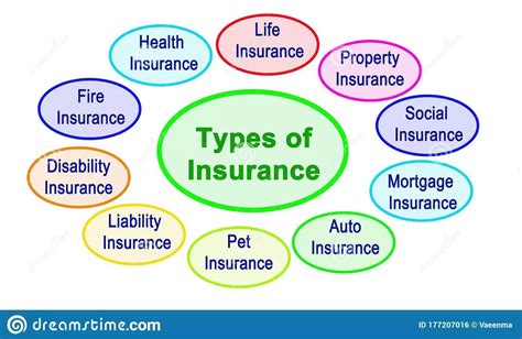 1. Types of Insurance Offered