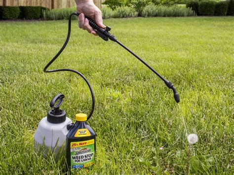 1. Types of Weed Killers: