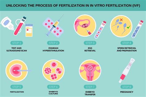 1. Understanding Fertilization