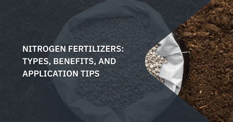 1. Understanding High-Nitrogen Fertilizers