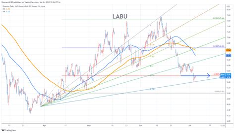 1. Understanding Labu Stock Price