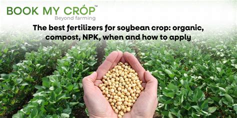 1. Understanding Soybean Fertilizer Needs