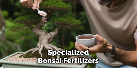 1. Understanding the Bonsai Fertilizer Landscape